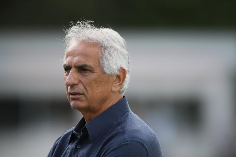 Picture of VAHID HALILHODZIC