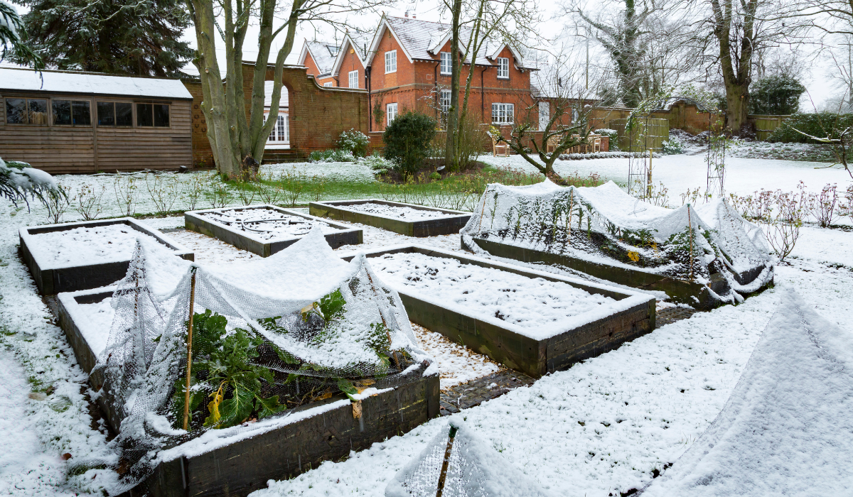 frozen street with snow in britain