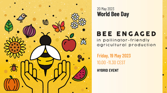 UN World Bee Day: Raising Awareness of Importance of Bees, Pollinators