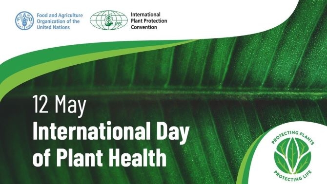 International Day of Plant Health: An Opportunity to Raise Awareness of Importance of Plants