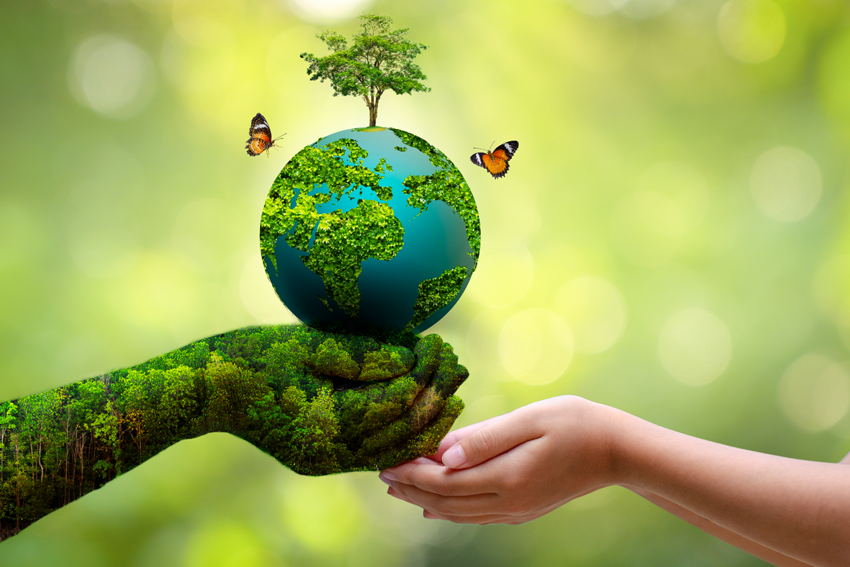 UN World Environment Day: Raising Awareness about Importance of Protecting Environment